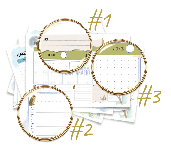 secciones de un planificador semanal con espacios para tareas, prioridades y notas