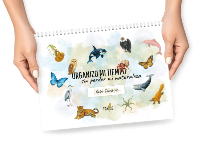 Planificador semanal inspirado en la naturaleza para organizar el tiempo de forma flexible – Trazos Naturales